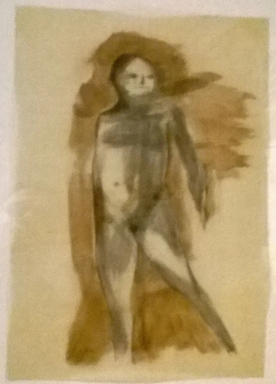 Untitled Acorell 63
