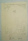 Untitled Pencil 814