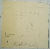 Untitled Pencil 815