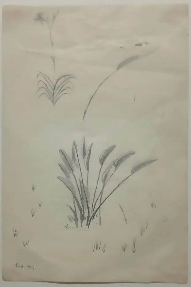 Untitled Pencil117